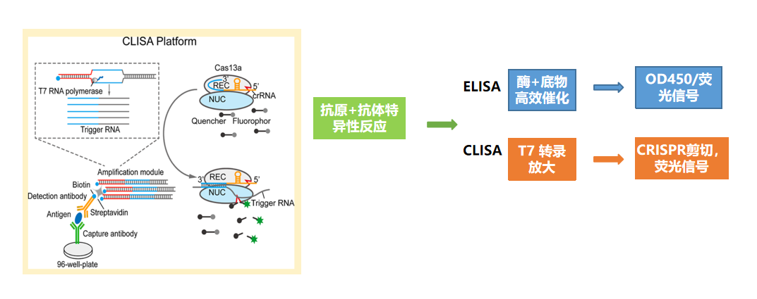 1688997566311877.png 1688997555105.png