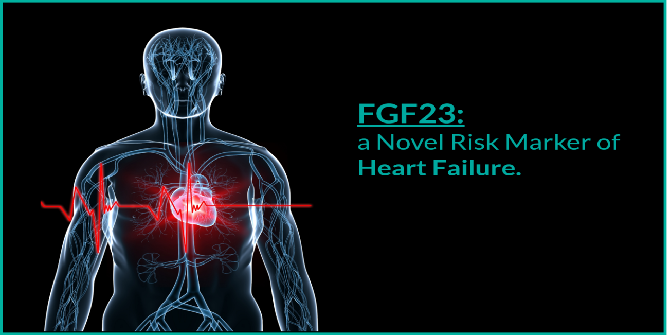 1731776295638488.png image.png